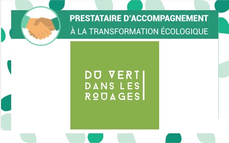 Portrait – du vert dans les rouages