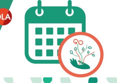 Calendrier des temps d’animation et formations DLA sur la transformation écologique !