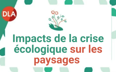 Impacts de la crise écologique sur les paysages