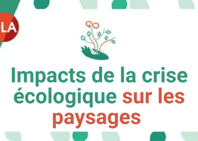 Impacts de la crise écologique sur les paysages