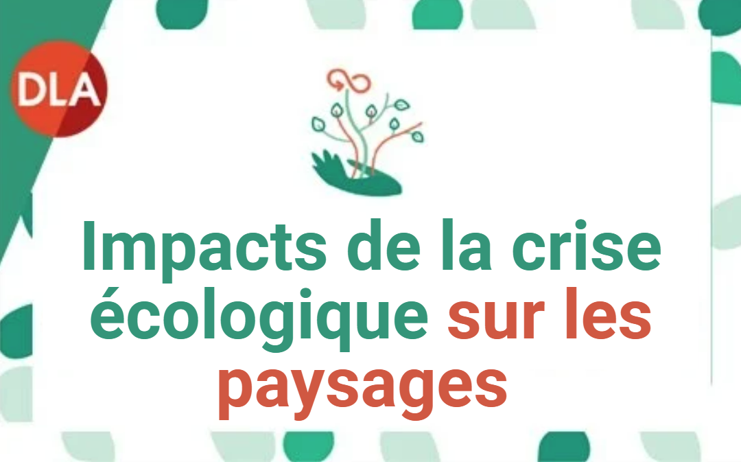 Impacts de la crise écologique sur les paysages
